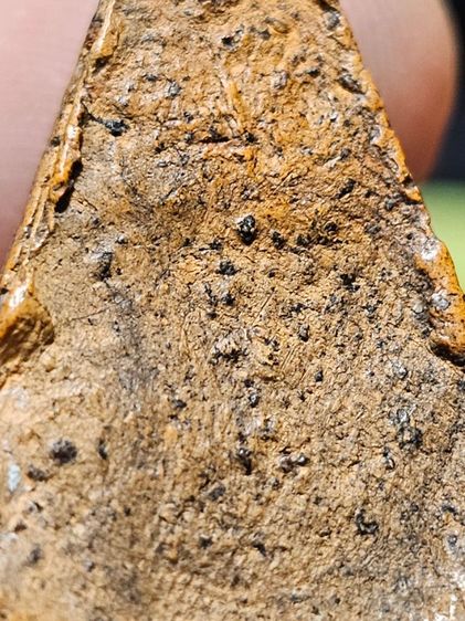 พระนางพญา รูปที่ 11