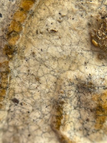 พระสมเด็จวัดระฆังพิมพ์ใหญ่สังฆาฏิหลังเจดีย์  รูปที่ 8