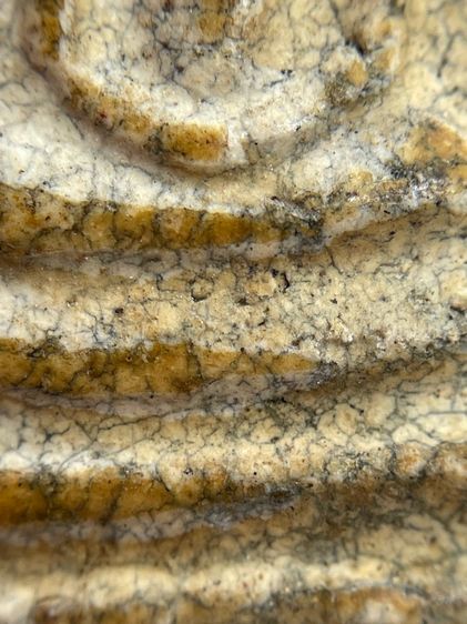 พระสมเด็จวัดระฆังพิมพ์ใหญ่สังฆาฏิหลังเจดีย์  รูปที่ 10