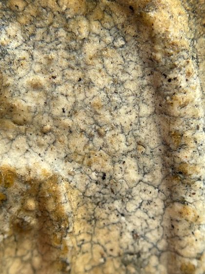 พระสมเด็จวัดระฆังพิมพ์ใหญ่สังฆาฏิหลังเจดีย์  รูปที่ 9