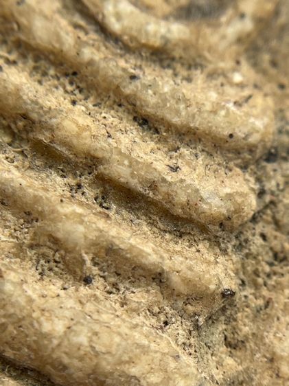 พระสมเด็จวัดระฆังพิมพ์หลวงวิจารณ์พระเก่าเนื้อเก่าเห็นมวลสารชัดเจน รูปที่ 13