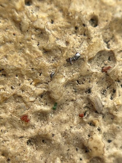 พระสมเด็จวัดระฆังพิมพ์หลวงวิจารณ์พระเก่าเนื้อเก่าเห็นมวลสารชัดเจน รูปที่ 8