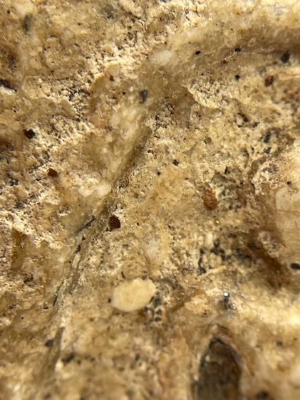 พระสมเด็จวัดระฆังพิมพ์หลวงวิจารณ์พระเก่าเนื้อเก่าเห็นมวลสารชัดเจน รูปที่ 11