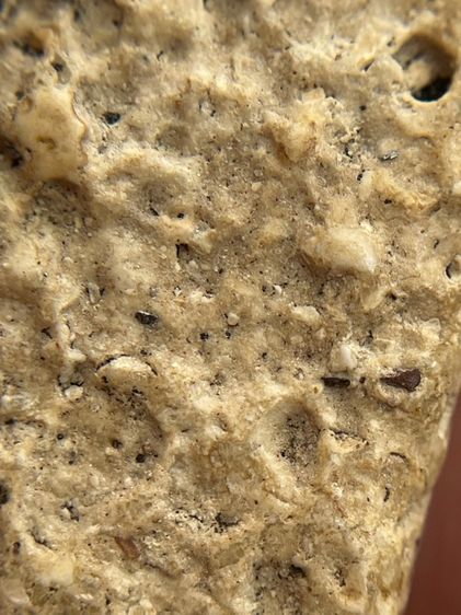 พระสมเด็จวัดระฆังพิมพ์หลวงวิจารณ์พระเก่าเนื้อเก่าเห็นมวลสารชัดเจน รูปที่ 10