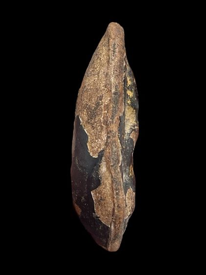 พระพิมพ์กีบบัว เนื้อผงคลุกกรัก หลวงปู่บุญวัดกลางบางแก้ว รูปที่ 3