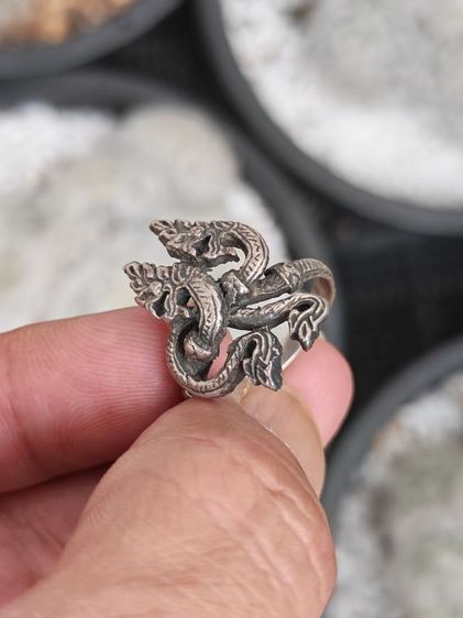 แหวนพญานาค​คู่เงินแท้​ งานเก่า เบาๆหลักร้อยแบ่งกันครับ รูปที่ 2