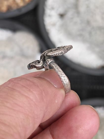 แหวนพญานาค​คู่เงินแท้​ งานเก่า เบาๆหลักร้อยแบ่งกันครับ รูปที่ 5