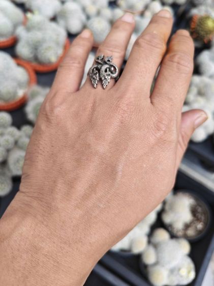 แหวนพญานาค​คู่เงินแท้​ งานเก่า เบาๆหลักร้อยแบ่งกันครับ รูปที่ 9