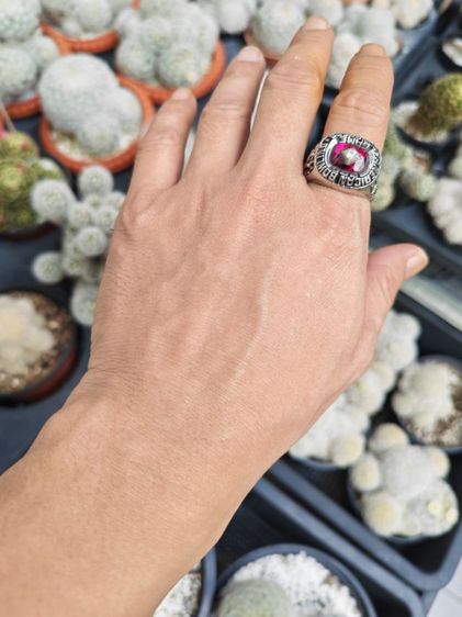 แหวนโบว์ลิ่งเงินแท้​ Made​ In​ USA หายากมาก แบ่งปันถูกที่สุดครับ รูปที่ 9