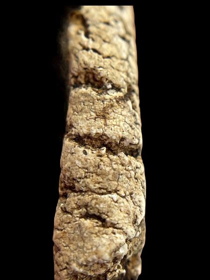 พระสมเด็จวัดระฆังทเจดีย์แหวกม่านไม่ตัดขอบเนื้อหาเก่าสวยเป็นธรรมชาติมีน้อยหายากน่าเก็บสะสม รูปที่ 6