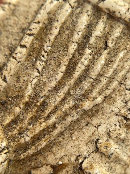 พระสมเด็จวัดระฆังทเจดีย์แหวกม่านไม่ตัดขอบเนื้อหาเก่าสวยเป็นธรรมชาติมีน้อยหายากน่าเก็บสะสม รูปที่ 12