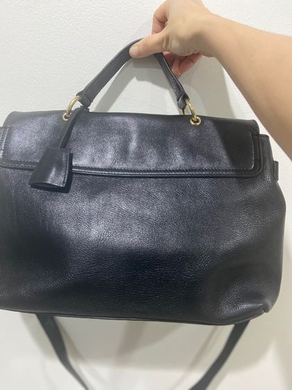 mulberry รูปที่ 2