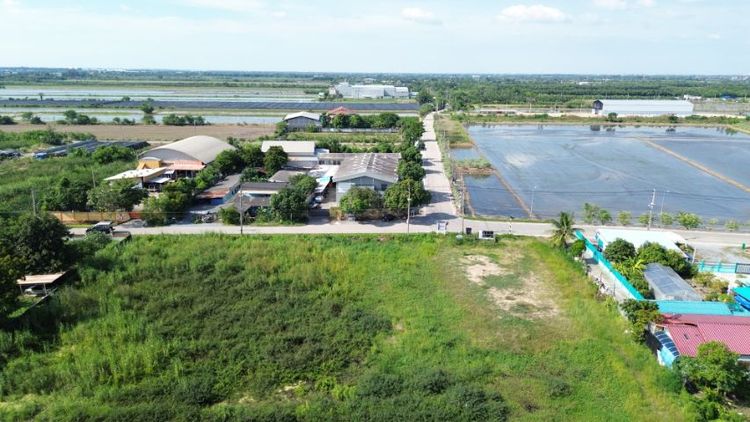 ไม่ใช่ ขายที่ดิน ราคาดีที่สุดในย่านนี้ รูปที่ 4