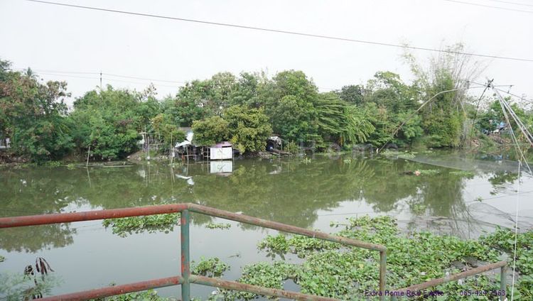 ไม่ใช่ ที่ดินติดริมน้ำมหาสวัสดิ์ 424 ตรว. ราคาถูก รูปที่ 2