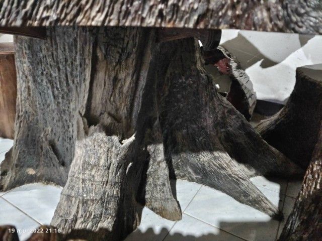 โต๊ะไม้ ลายธรรมชาติ รูปที่ 5