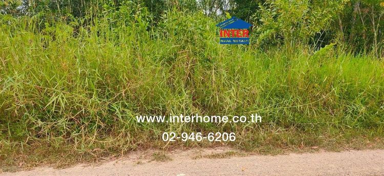 ที่ดินเปล่า 100 ตร.ว. ที่ดิน ซอยคลองหกตะวันตก53 ถนนรังสิต-นครนายก ถนนคลองหก คลองหลวง ปทุมธานี รูปที่ 4