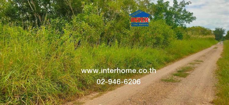 ที่ดินเปล่า 100 ตร.ว. ที่ดิน ซอยคลองหกตะวันตก53 ถนนรังสิต-นครนายก ถนนคลองหก คลองหลวง ปทุมธานี รูปที่ 3