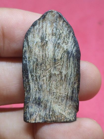 พระนาคปรก รูปที่ 4