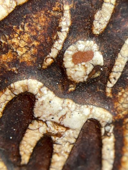 พระสมเด็จเกศชโย 7 ชั้น เนื้อหาเก่าสวยไปธรรมชาติเห็นมวลสารชัดเจน รูปที่ 14