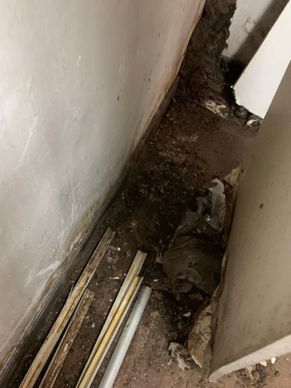 กำจัดปลวก