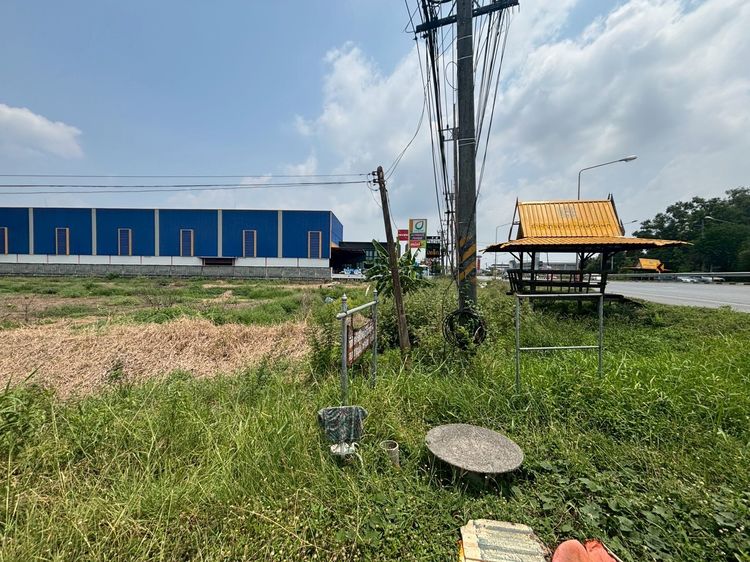 ไม่ใช่ ที่ดินติดถนนใหญ่ รังสิต-นครนายก เจ้าของปล่อยเอง ราคาถูก ใกล้สถานีรถไฟองครักษ์ รูปที่ 4