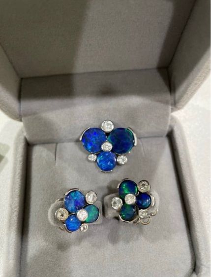 ต่างหู เข็มกลัด