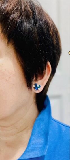 ต่างหู เข็มกลัด รูปที่ 4
