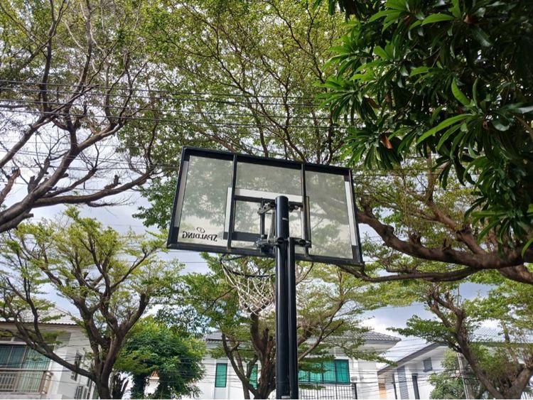 แป้นบาส Spalding  รูปที่ 3
