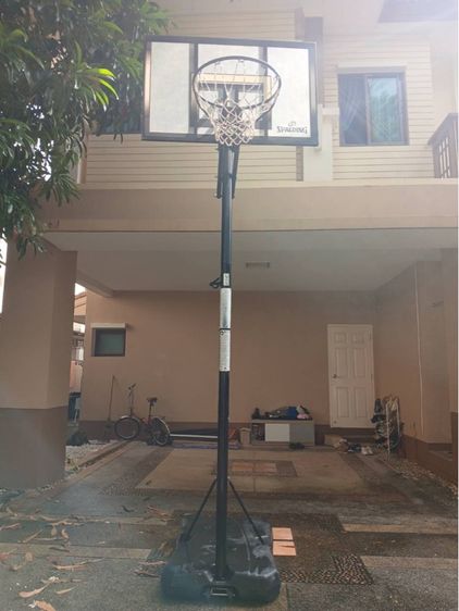 ผู้ชาย บาสเกตบอล อื่นๆ แป้นบาส Spalding 