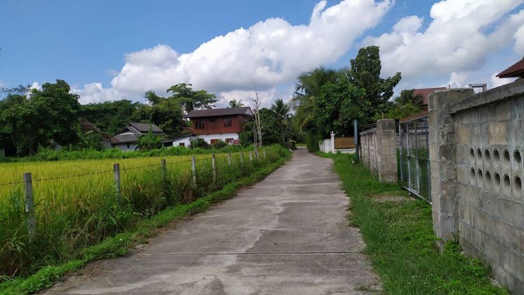 ขายที่นาติดถนนคอนกรีตกลางชุมชน เหมาะทำบ้านพักตากอากาศ  พูลวิลล่า