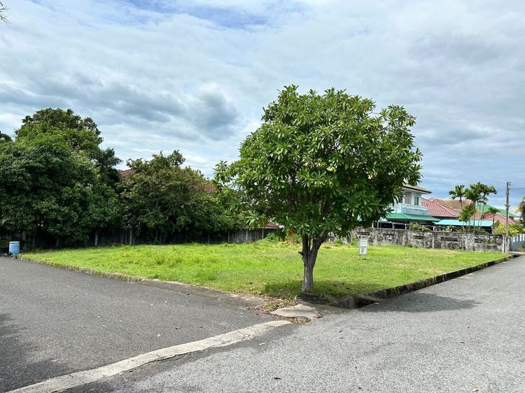 ขายที่ดินถมแล้ว ในหมู่บ้านสหกรณ์ไทยออยล์ 2 แปลง 204 ตร.วา แปลงใหญ่ ติดถนนสายหลัก ศรีราชา ชลบุรี รูปที่ 4