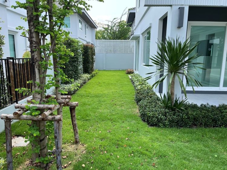 ตกแต่งครบ ขายบ้านเดี่ยว 2 ชั้น โครงการชัยพฤกษ์ ทางด่วนรามอินทรา-จตุโชติ 70 ตรว. พร้อมสวนรอบบ้าน ใกล้ทางด่วน จตุโชติ  รูปที่ 4