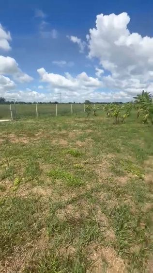 ที่ดินใกล้เมืองยกแปลง เหมาะทำบ้านสวนสบายๆ