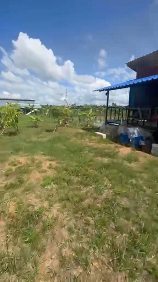 ไม่ใช่ ที่ดินใกล้เมืองยกแปลง เหมาะทำบ้านสวนสบายๆ รูปที่ 2