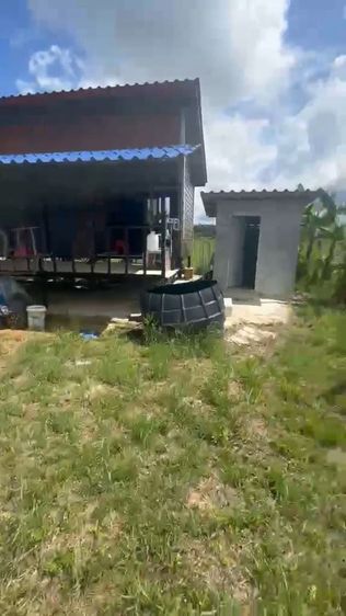 ไม่ใช่ ที่ดินใกล้เมืองยกแปลง เหมาะทำบ้านสวนสบายๆ รูปที่ 4