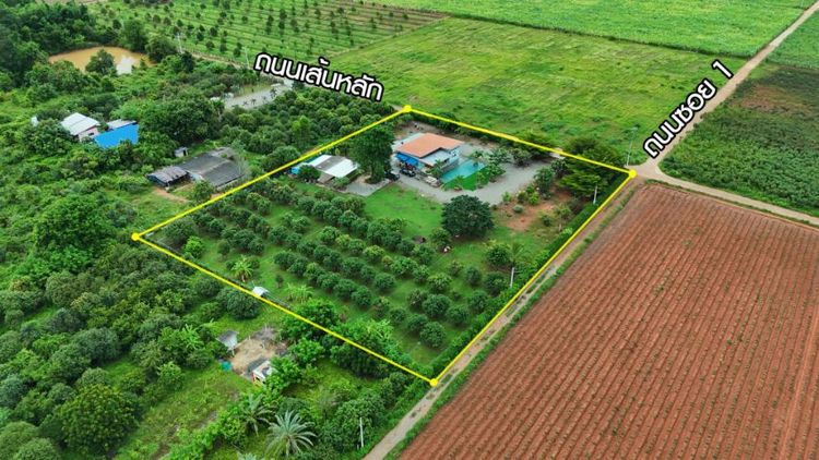 บ้านสวน 4 ไร่ ราคาไม่เกิน 6 ล้าน พร้อมอยู่ รูปที่ 2