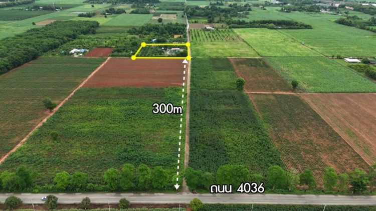 บ้านสวน 4 ไร่ ราคาไม่เกิน 6 ล้าน พร้อมอยู่ รูปที่ 4