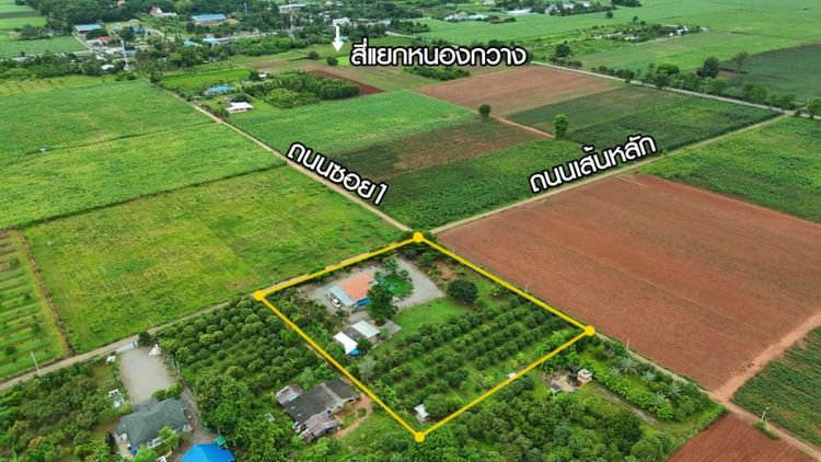 บ้านสวน 4 ไร่ ราคาไม่เกิน 6 ล้าน พร้อมอยู่ รูปที่ 3