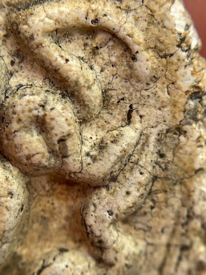 พระสมเด็จ (โต) วัดระฆัง พิมพ์ยันต์ยุ่ง ขนมเปี๊ยะเนื้อเก่าสวยเป็นธรรมชาติน่าเก็บสะสม รูปที่ 14