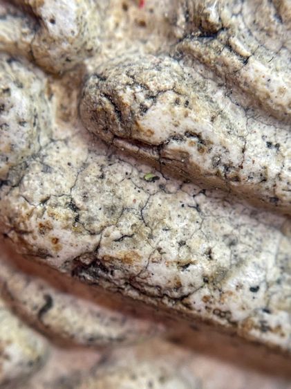 พระสมเด็จ (โต) วัดระฆัง พิมพ์ยันต์ยุ่ง ขนมเปี๊ยะเนื้อเก่าสวยเป็นธรรมชาติน่าเก็บสะสม รูปที่ 15