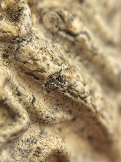 พระสมเด็จ (โต) วัดระฆัง พิมพ์ยันต์ยุ่ง ขนมเปี๊ยะเนื้อเก่าสวยเป็นธรรมชาติน่าเก็บสะสม รูปที่ 9