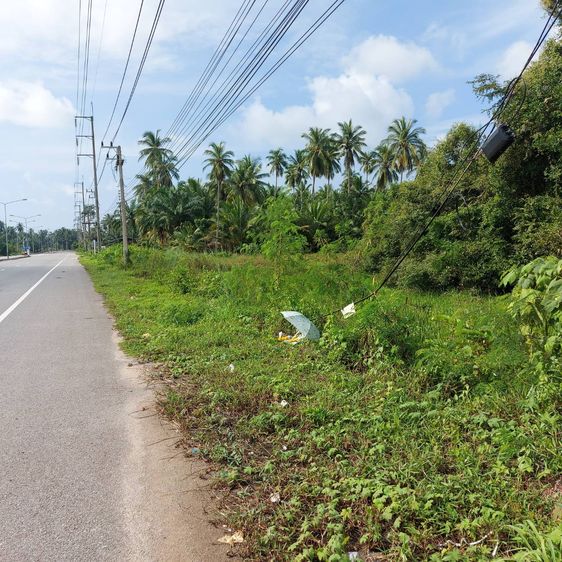 ขายที่ดิน 9 ไร่ 38 ตร.ว. อ.บางสะพานน้อย ประจวบคีรีขันธ์ รูปที่ 4
