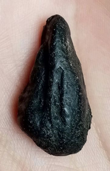 องค์ละ 600 บาท รูปที่ 10