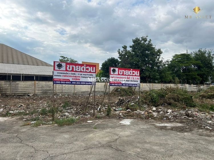 ขายที่ดินเปล่า 1 ไร่ 1 งาน ทำเลดี ติดถนนเศรษฐกิจ 1 คลองมะเดื่อ อ.กระทุ่มแบน จ.สมุทรสาคร รูปที่ 2