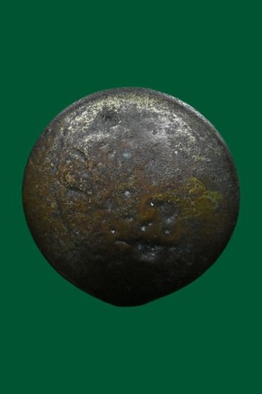 เม็ดกระดุม เนื้อเมฆสิทธิ์ รูปที่ 2