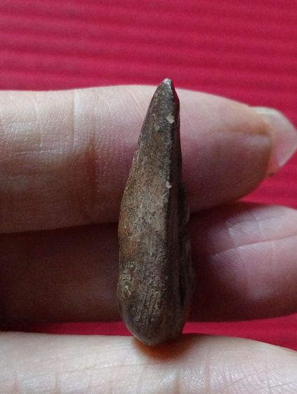 พระกรุเก่า สวยมาก รูปที่ 5