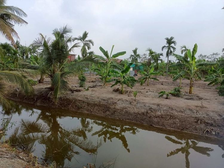 ขายที่ดินเปล่า 4 ไร่ 27 ตรวา ติดคลอง บรรยากาศดี เหมาะสร้างบ้านสวน ทำเกษตร ต.บางไผ่ อ.เมือง จ.ฉะเชิงเทรา