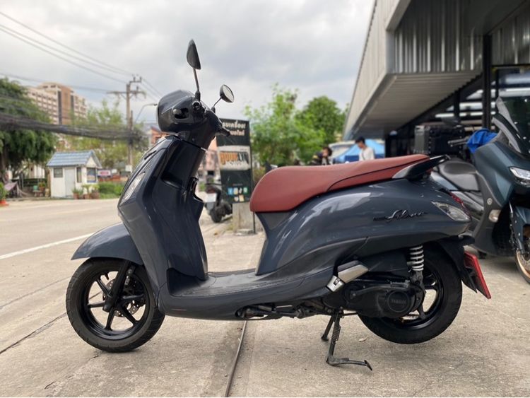 grandfilano ปี22สีเทา รูปที่ 8