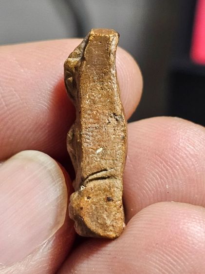 พระผงสุพรรน รูปที่ 14