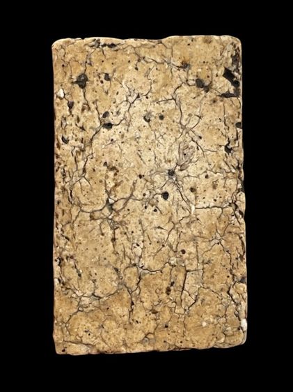 พระสมเด็จบางขุนพรหม พิมพ์ฐานคู่ เนื้อหาเก่าสวย รูปที่ 2